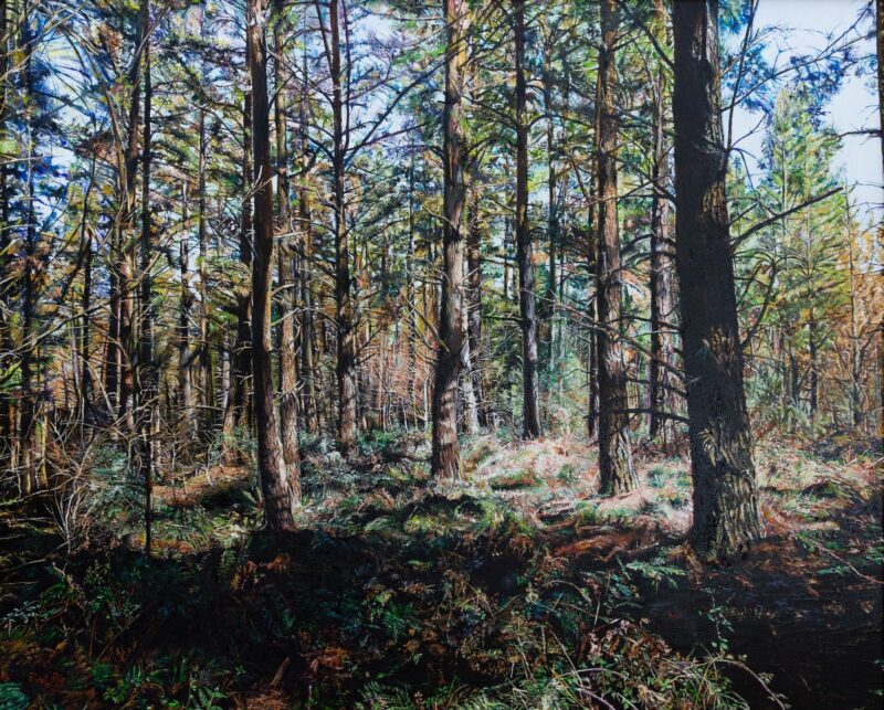Pinos de Bartieta – Óleo sobre lienzo 100 x 81
