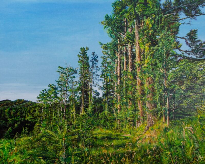 Pinar viejo – Óleo sobre lienzo 100 x 81