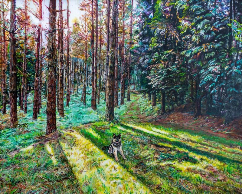 Pinos enfermos – Óleo  sobre lienzo 100 x 81