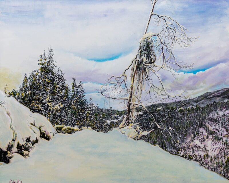 Nieve en Patrobaso – Óleo sobre lienzo 100 x 81