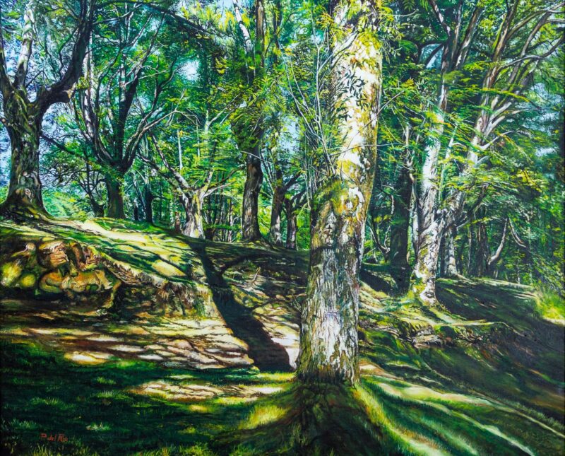 Hayas en verano – Óleo sobre lienzo 100 x 81