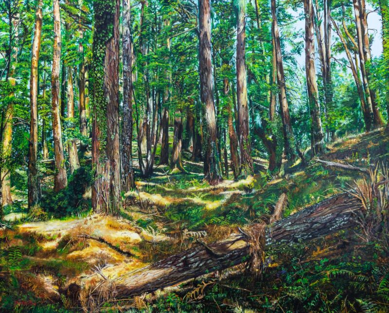Pino truncado – Óleo sobre lienzo 100 x 81