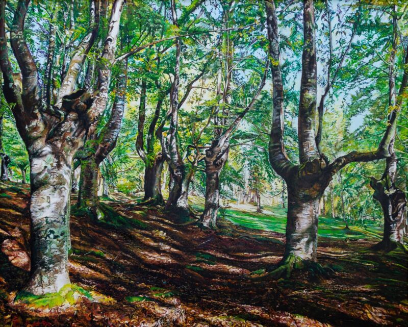 Hayas en primavera – Óleo sobre lienzo 100 x 81