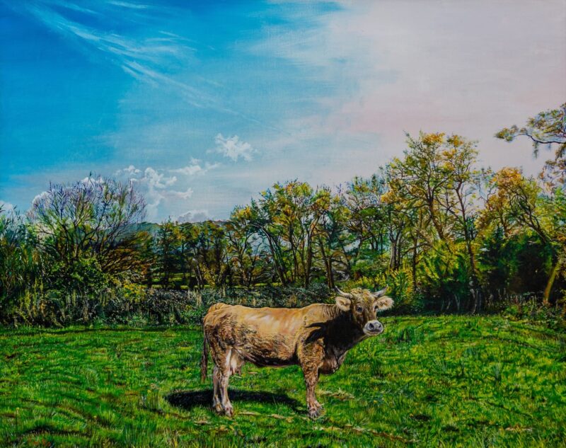 La vaquita Neure – Óleo sobre lienzo 92 x 73