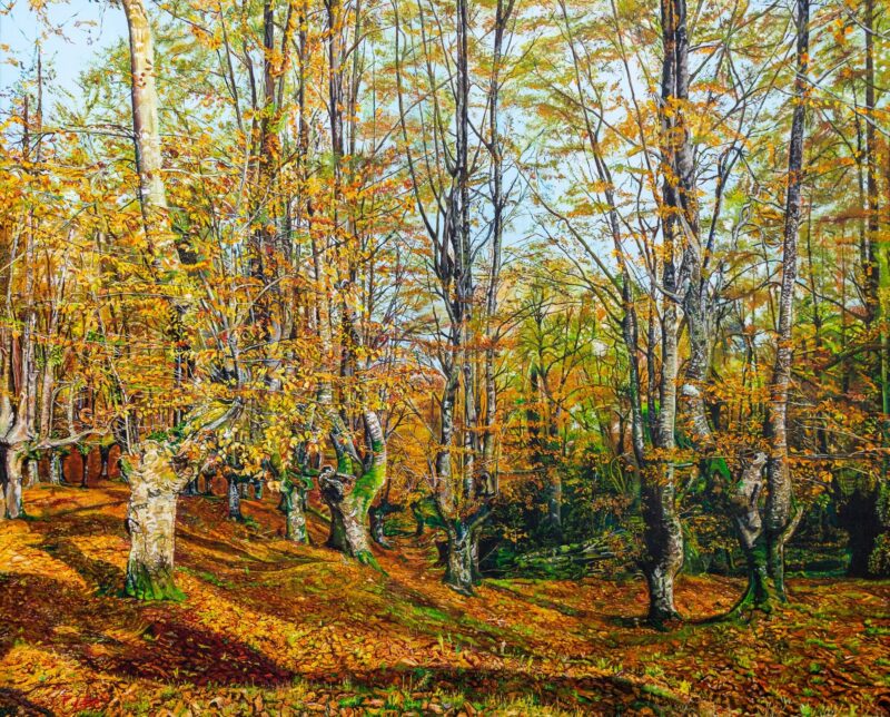 Hayas en otoño – Óleo  sobre lienzo 100 x 81