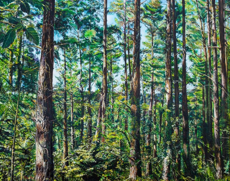 Interior del pinar – Óleo sobre lienzo 92 x 73