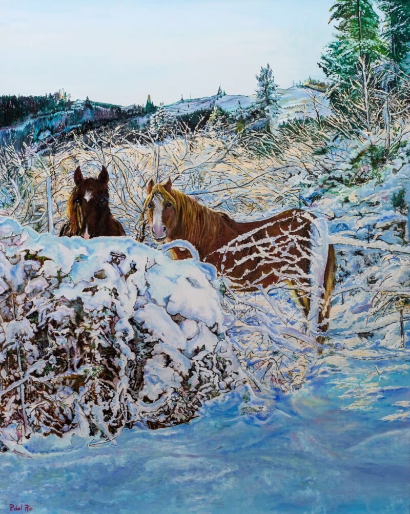 Esperando el pienso – Óleo sobre lienzo 92 x 73
