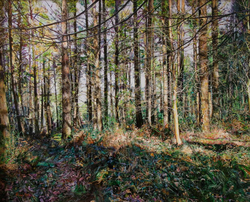 Pinar de Gerrikaitz – Óleo sobre lienzo 100 x 81