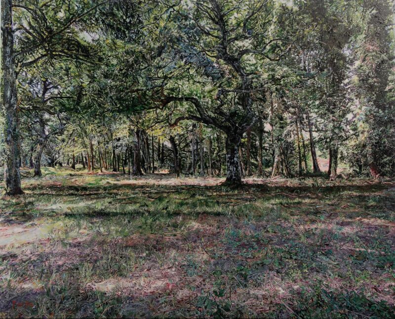 Bosque de Murua – Óleo sobre lienzo 100 x 81