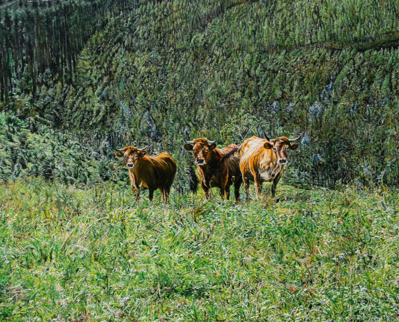 Vacas en Oiz – Óleo sobre lienzo 100 x 81
